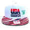 Larry Bird USA Basketball Vintage Snapback Hat NEW