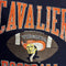 Virginia Cavaliers UVA Vintage 1990s Crewneck Medium