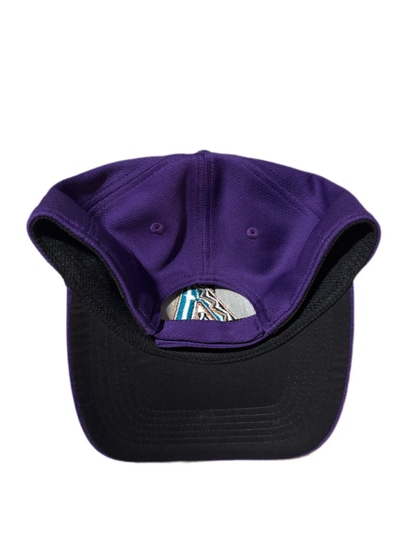 VINTAGE ARIZONA DIAMONDBACKS TEAM MLB EMBROIDERED SNAPBACK HAT