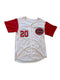 VINTAGE FRANK ROBINSON #20 CINCINNATI REDS PINSTRIPE JERSEY