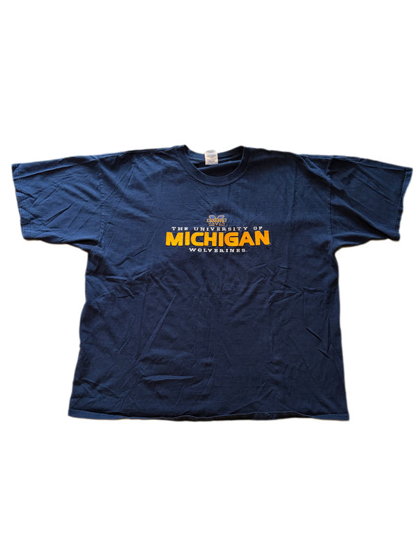 VINTAGE MICHIGAN UNIVERSITY WOLVERINES FELT MICHIGAN LETTERS TEE