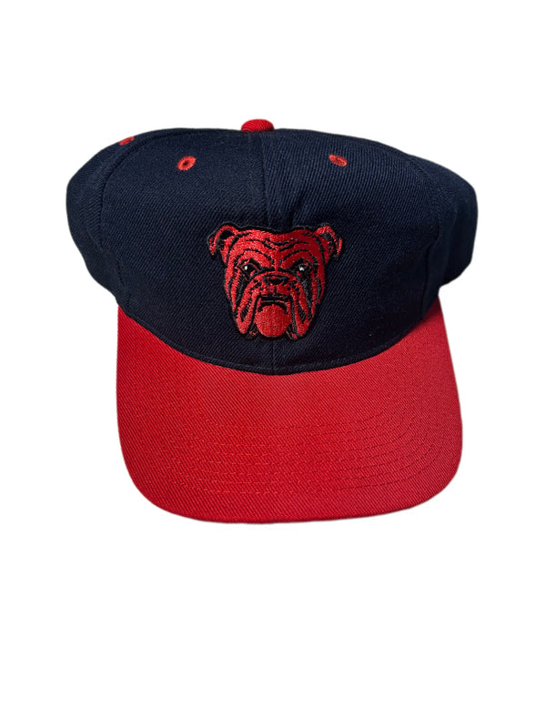 RARE VINTAGE RED DOG BEER SNAPBACK