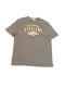 PITTSBURGH STEELERS LOGO SHIRT