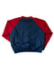 Jeff Gordon V Neck Windbreaker.